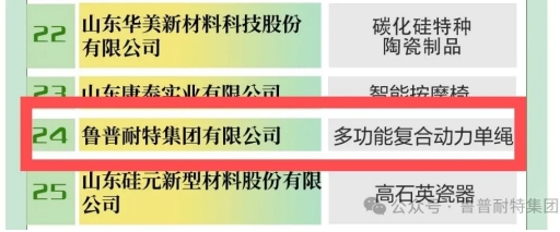 99個(gè)！魯普耐特集團(tuán)明星產(chǎn)品榮譽(yù)當(dāng)選第三批“好品山東”品牌名單